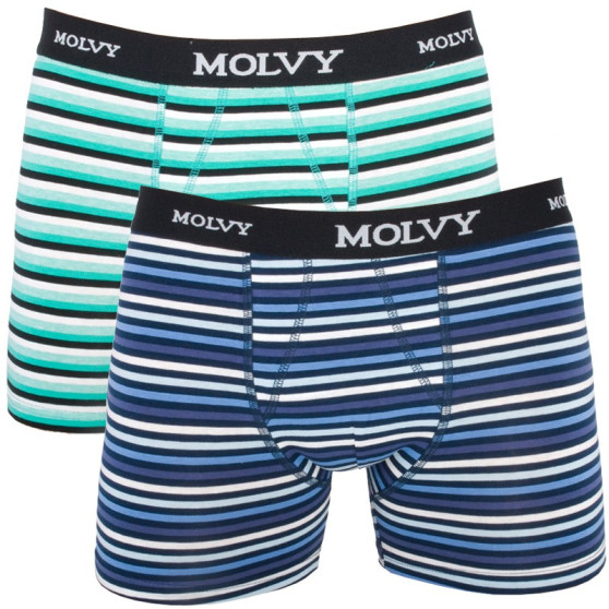 2PACK ανδρικό σορτς μποξεράκι Molvy πολύχρωμο (KP-044-BEU)