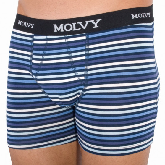 2PACK ανδρικό σορτς μποξεράκι Molvy πολύχρωμο (KP-044-BEU)