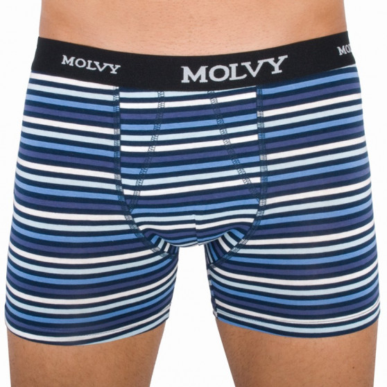 2PACK ανδρικό σορτς μποξεράκι Molvy πολύχρωμο (KP-044-BEU)