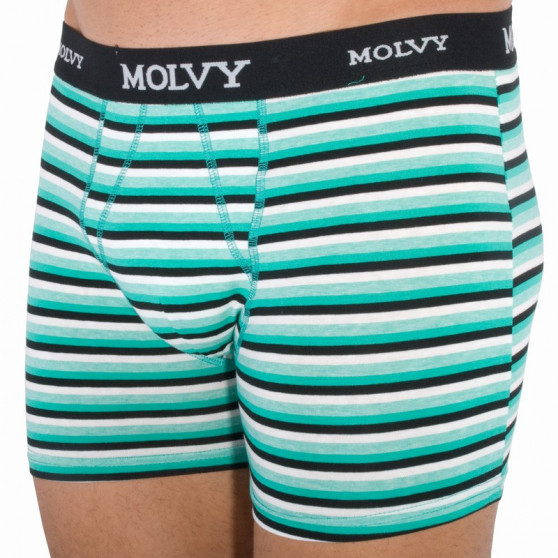 2PACK ανδρικό σορτς μποξεράκι Molvy πολύχρωμο (KP-044-BEU)