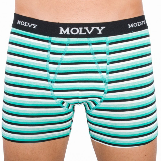 2PACK ανδρικό σορτς μποξεράκι Molvy πολύχρωμο (KP-044-BEU)