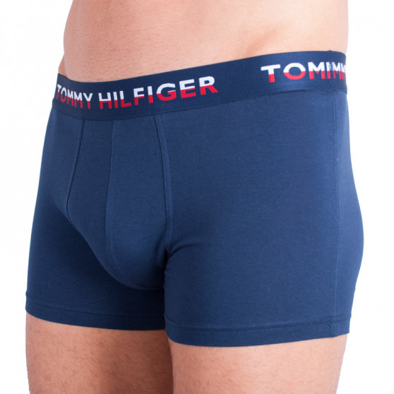 2PACK ανδρικό σορτς μποξεράκι Tommy Hilfiger πολύχρωμο (UM0UM00746 222)