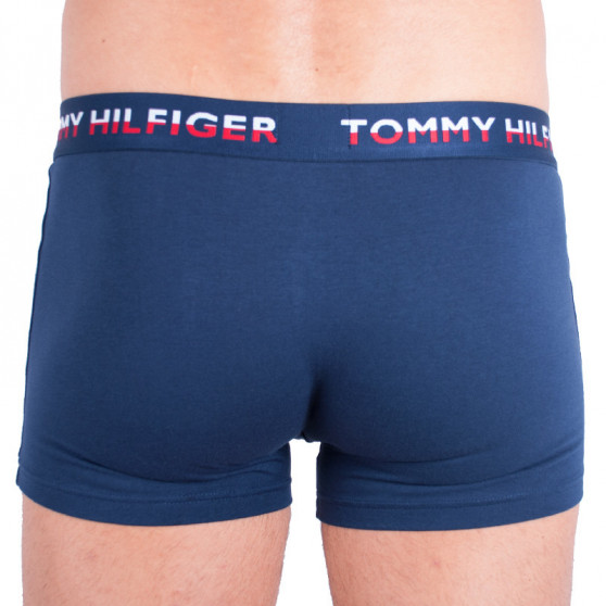 2PACK ανδρικό σορτς μποξεράκι Tommy Hilfiger πολύχρωμο (UM0UM00746 222)