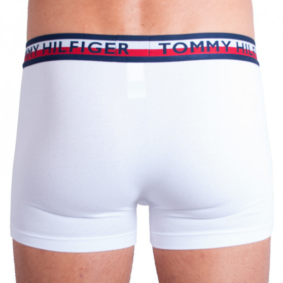 2PACK ανδρικό σορτς μποξεράκι Tommy Hilfiger πολύχρωμο (UM0UM00746 222)