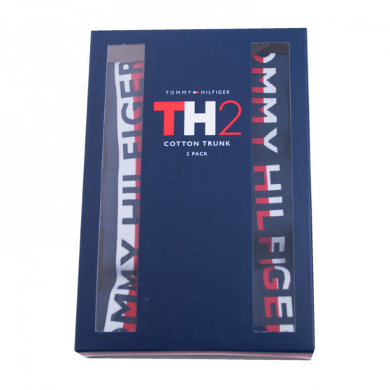 2PACK ανδρικό σορτς μποξεράκι Tommy Hilfiger πολύχρωμο (UM0UM00746 222)