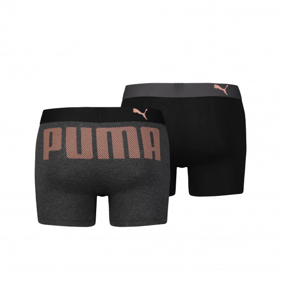 2PACK ανδρικό σορτς μποξεράκι Puma πολύχρωμο (581007001 087)