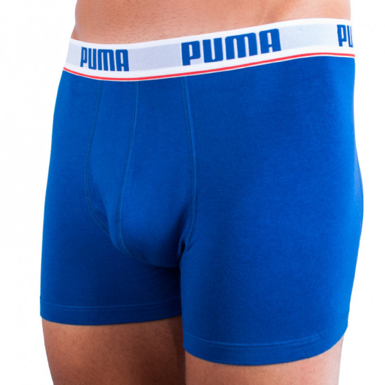 2PACK ανδρικό σορτς μποξεράκι Puma πολύχρωμο (671001001 277)