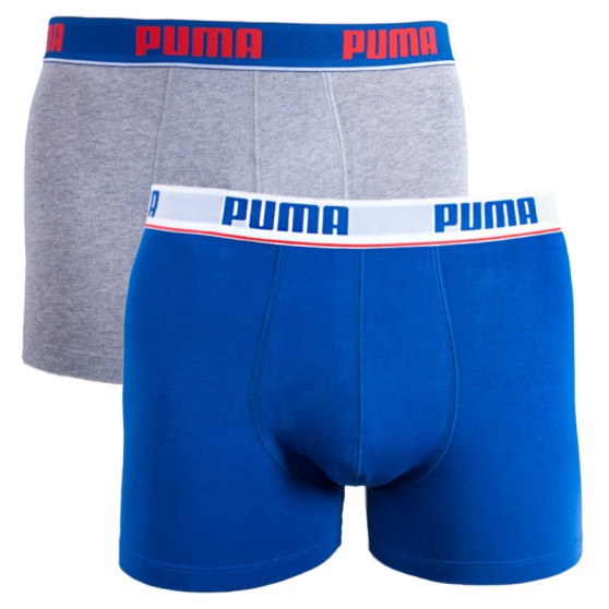 2PACK ανδρικό σορτς μποξεράκι Puma πολύχρωμο (671001001 277)