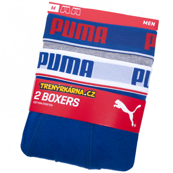 2PACK ανδρικό σορτς μποξεράκι Puma πολύχρωμο (671001001 277)