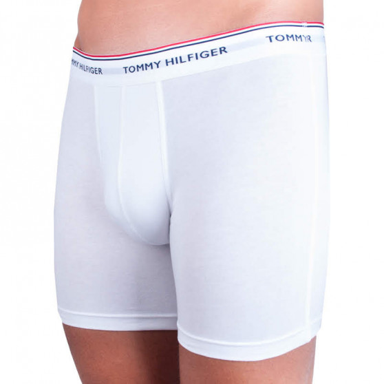 3PACK ανδρικό σορτς μποξεράκι Tommy Hilfiger πολύχρωμο (UM0UM00010 004)