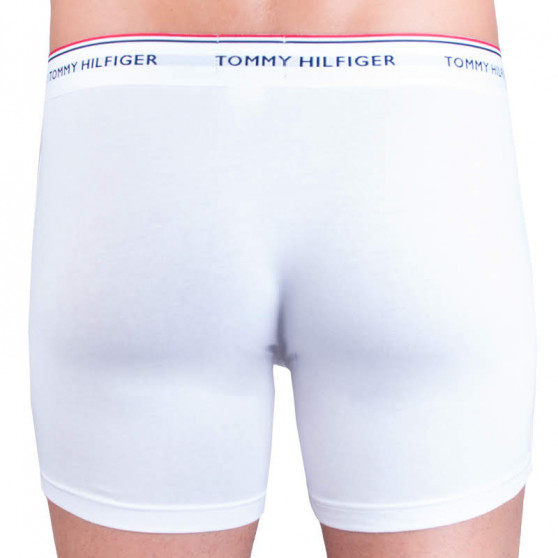 3PACK ανδρικό σορτς μποξεράκι Tommy Hilfiger πολύχρωμο (UM0UM00010 004)