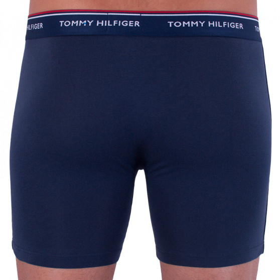 3PACK ανδρικό σορτς μποξεράκι Tommy Hilfiger πολύχρωμο (UM0UM00010 071)