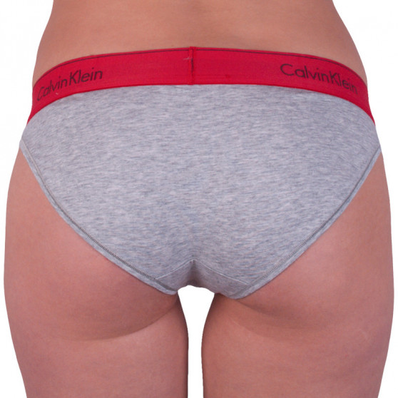 Γυναικεία εσώρουχα Calvin Klein γκρι (F3787E-ZP3)