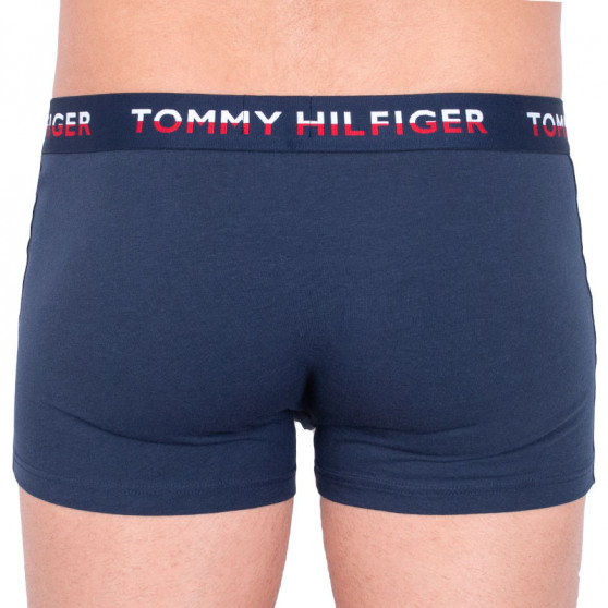 2PACK ανδρικό σορτς μποξεράκι Tommy Hilfiger πολύχρωμο (UM0UM00746 006)