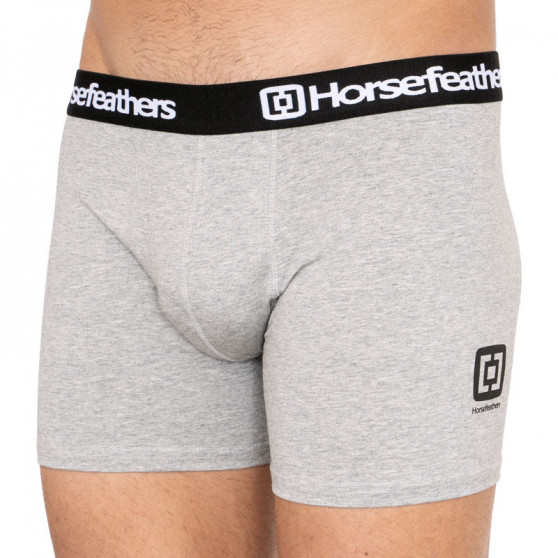 3PACK ανδρικό σορτς μποξεράκι Horsefeathers πολύχρωμο (AM067D)