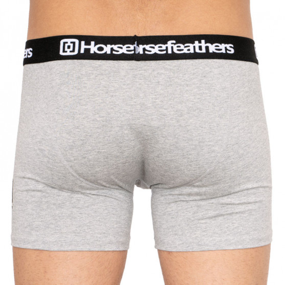 3PACK ανδρικό σορτς μποξεράκι Horsefeathers πολύχρωμο (AM067D)