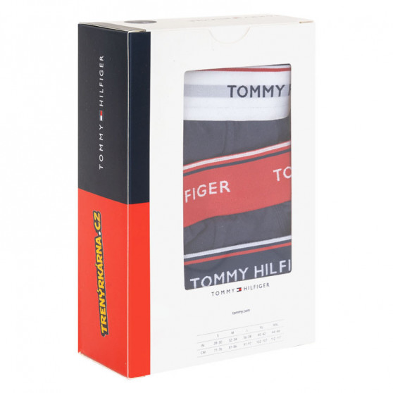 3PACK ανδρικό σλιπ Tommy Hilfiger σκούρο μπλε (1U87903766 904)