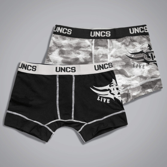 2PACK ανδρικό σορτς μποξεράκι  Wings II oversized UNCS