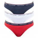 3PACK γυναικείο εσώρουχο Tommy Hilfiger πολύχρωμο (UW0UW00043 012)