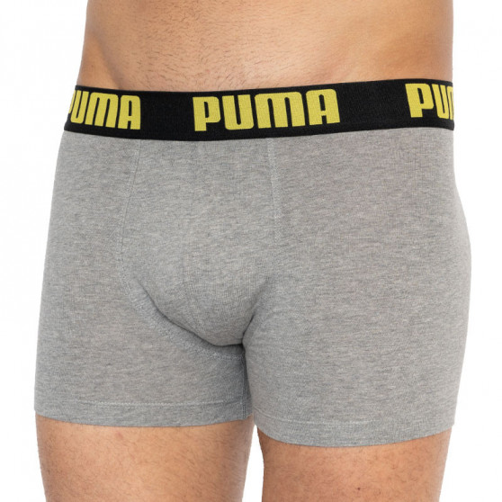 2PACK ανδρικό σορτς μποξεράκι Puma πολύχρωμο (501009001 020)