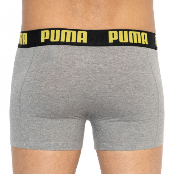 2PACK ανδρικό σορτς μποξεράκι Puma πολύχρωμο (501009001 020)