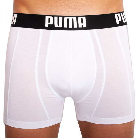 2PACK ανδρικό σορτς μποξεράκι Puma πολύχρωμο (601007001 003)