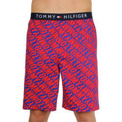 Ανδρικό σορτς Tommy Hilfiger πολύχρωμο (UM0UM01765 0NX)