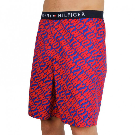 Ανδρικό σορτς Tommy Hilfiger πολύχρωμο (UM0UM01765 0NX)