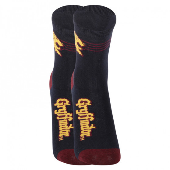 2PACK Παιδικές κάλτσες E plus M Harry Potter πολύχρωμες (GRYFFINDOR-A)