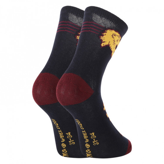 2PACK Παιδικές κάλτσες E plus M Harry Potter πολύχρωμες (GRYFFINDOR-A)