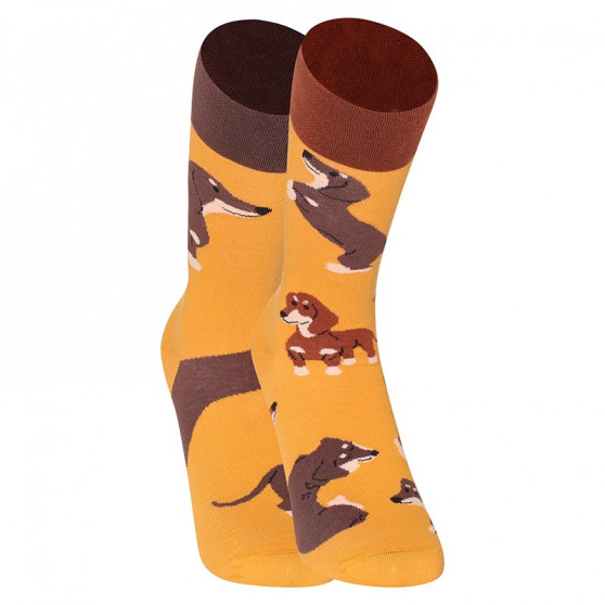 Happy Socks Dedoles Dachshund (GMRS196)