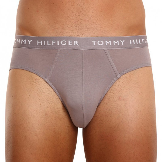 3PACK ανδρικό σλιπ Tommy Hilfiger πολύχρωμο (UM0UM02206 0TG)