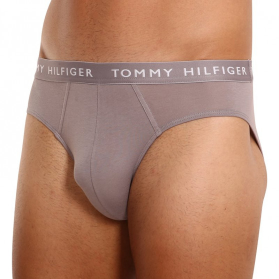 3PACK ανδρικό σλιπ Tommy Hilfiger πολύχρωμο (UM0UM02206 0TG)