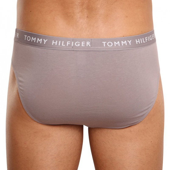 3PACK ανδρικό σλιπ Tommy Hilfiger πολύχρωμο (UM0UM02206 0TG)