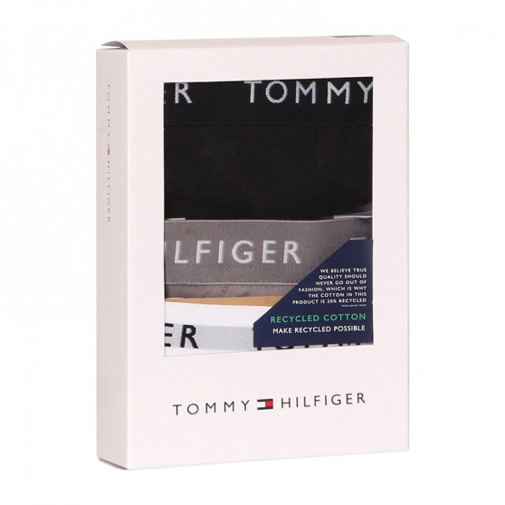 3PACK ανδρικό σλιπ Tommy Hilfiger πολύχρωμο (UM0UM02206 0TG)