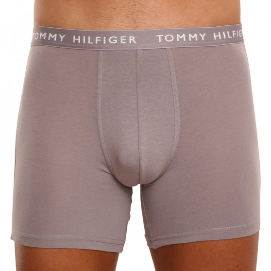 3PACK ανδρικό σορτς μποξεράκι Tommy Hilfiger πολύχρωμο (UM0UM02204 0TG)