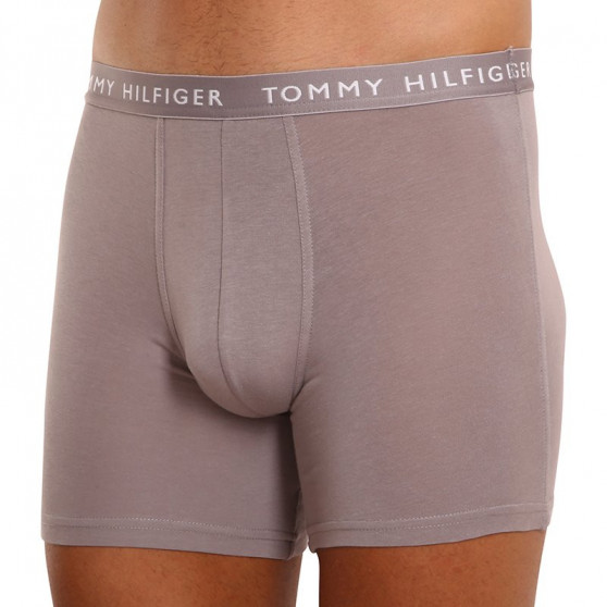 3PACK ανδρικό σορτς μποξεράκι Tommy Hilfiger πολύχρωμο (UM0UM02204 0TG)