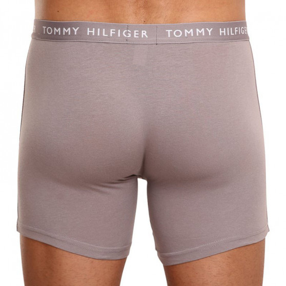 3PACK ανδρικό σορτς μποξεράκι Tommy Hilfiger πολύχρωμο (UM0UM02204 0TG)