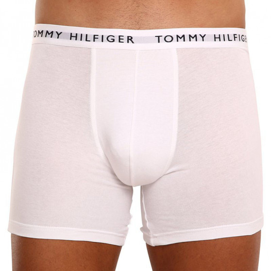 3PACK ανδρικό σορτς μποξεράκι Tommy Hilfiger πολύχρωμο (UM0UM02204 0TG)