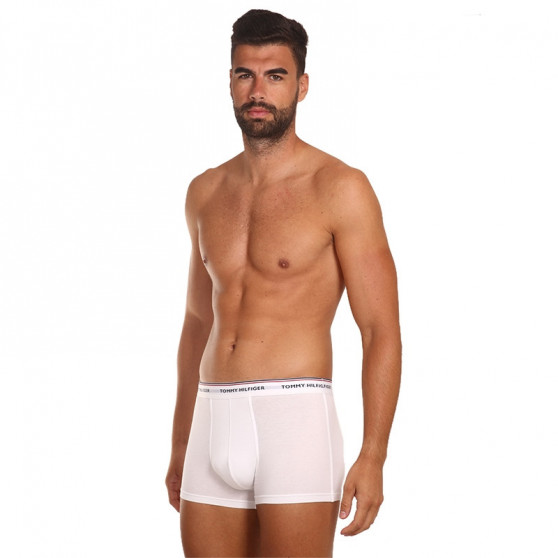 3PACK ανδρικό σορτς μποξεράκι Tommy Hilfiger πολύχρωμο (1U87903842 004)