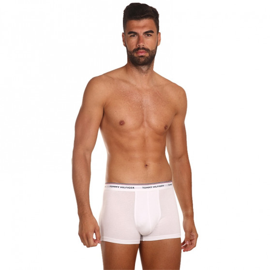 3PACK ανδρικό σορτς μποξεράκι Tommy Hilfiger πολύχρωμο (1U87903842 004)