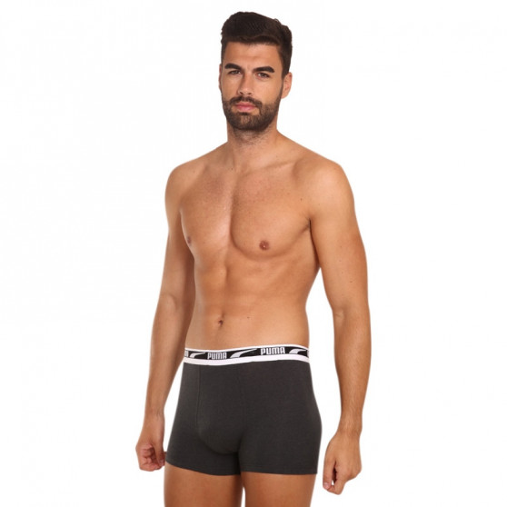 2PACK ανδρικό σορτς μποξεράκι Puma πολύχρωμο (701219366 002)