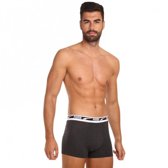 2PACK ανδρικό σορτς μποξεράκι Puma πολύχρωμο (701219366 002)