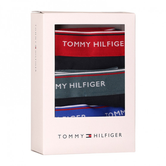 3PACK ανδρικό σορτς μποξεράκι Tommy Hilfiger σκούρο μπλε (UM0UM01642 0SN)