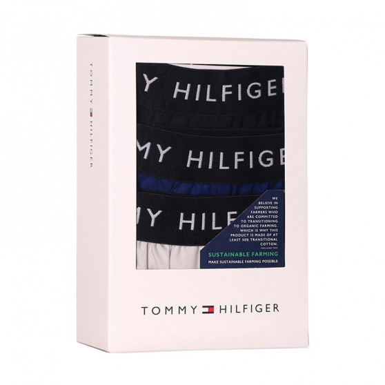 3PACK ανδρικό σορτς Tommy Hilfiger πολύχρωμο (UM0UM02327 0UK)