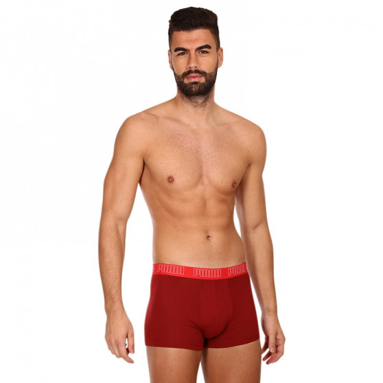 2PACK ανδρικό σορτς μποξεράκι Puma πολύχρωμο (100000884 045)