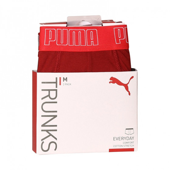 2PACK ανδρικό σορτς μποξεράκι Puma πολύχρωμο (100000884 045)