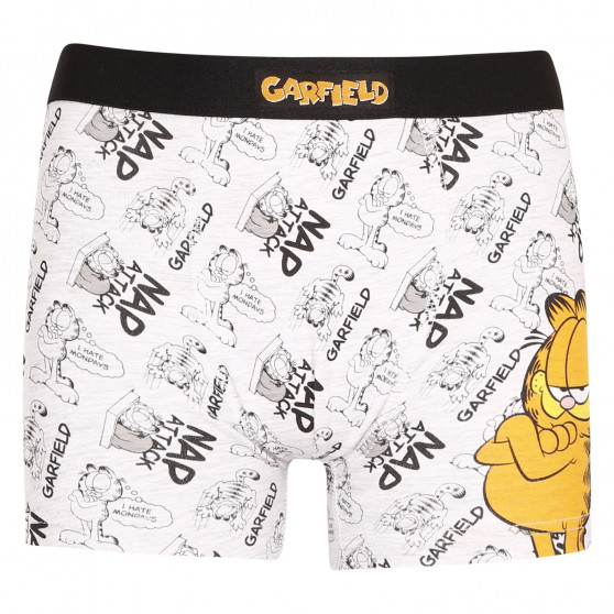 2PACK αγόρια μποξεράκια E plus M Garfield πολύχρωμο (52 33 110/080)