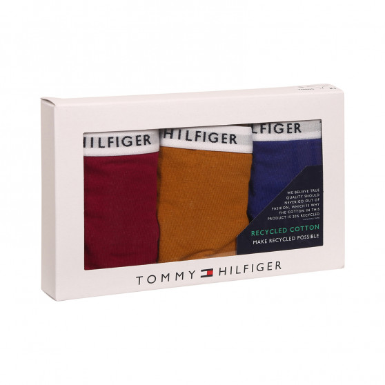 3PACK γυναικείο στρινγκ Tommy Hilfiger πολύχρωμο (UW0UW02829 0XH)