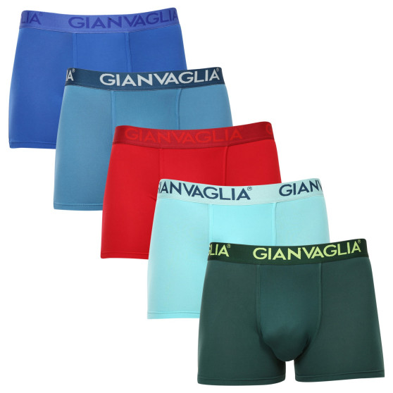 5PACK ανδρικό σορτς μποξεράκι Gianvaglia πολύχρωμο (GVG-5006)